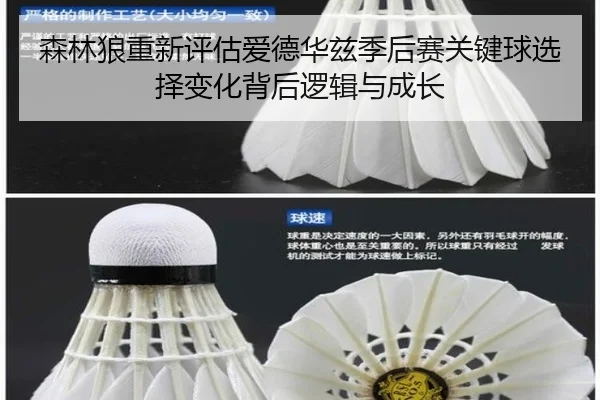 森林狼重新评估爱德华兹季后赛关键球选择变化背后逻辑与成长
